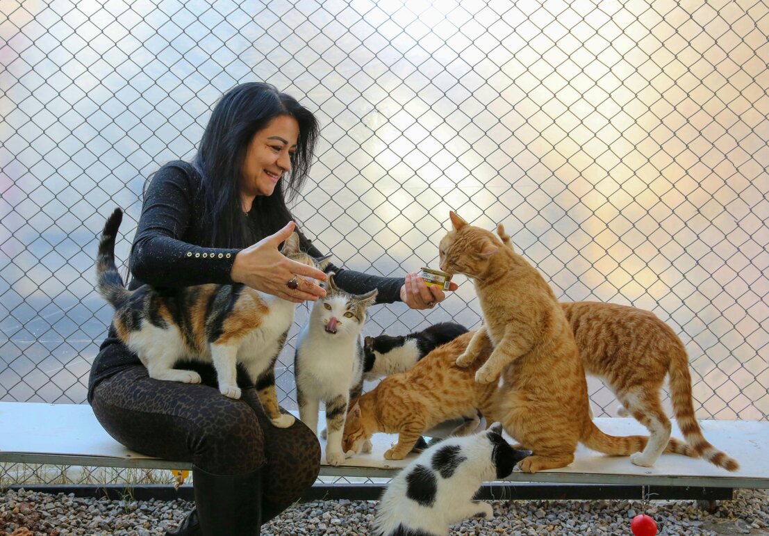 Famiglia incontra un cane per una possibile adozione